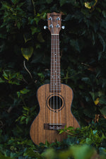 Carregar imatge al visor de la galeria, Kunde Mars 23" - Kunde Brand
