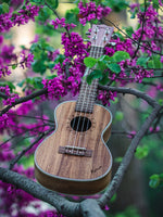 Cargar imagen en el visor de la galería, Kunde Moon 23" - Kunde Brand
