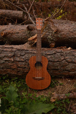 Cargar imagen en el visor de la galería, Kunde Sun 26" - Kunde Brand
