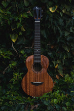 Carregar imatge al visor de la galeria, Kunde Sun Eclipse 26" EQ
