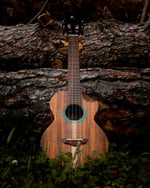 Cargar imagen en el visor de la galería, Kunde Venus 26" EQ - Kunde Brand
